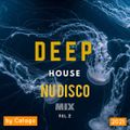 Deep House NU Disco Mix vol. #2 / 2021