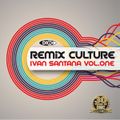DMC - Remix Culture Mix Vol 1 (Section DMC)