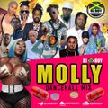 DJ ROY MOLLY DANCEHALL MIXTAPE [SEPT 2021]