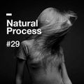 Natural Process #29