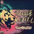REGGAE LIVITY MIX #1 (HD VIDEO MIX) (AUDIO PART) — StaMinaTor