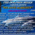 THE DOLPHIN MIXES - VARIOUS ARTISTS - ''WE LOVE ALMIGHTY'' (VOLUME 9)