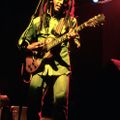 Bob Marley & the Wailers - 1978-06-16 - Capitol Center, Landover, MD Great AUD