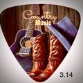 COUNTRY 3.14