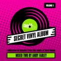 Secret Vinyl Album Volume 1 (Disc 2) - Andy Farley