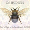 DJ Iridium - Live @ Flight of the Bumblebee 2 (04-11-11)