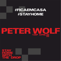 MUSIC GROUP THE DROP HOME MIX ● PETER WOLF 12EP