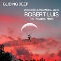 Gliding Deep Downtempo DJ Mix by Robert Luis
