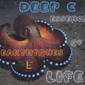 Deep C Presents Earthtones 5-Essence Of Life. Deep Traveling Emotional House Music!!!