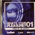 Whats Your Pleasure Vol 01, Mixed By Nik Denton
