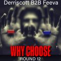 Derriscott B2B Feeva - Why Choose Rd 12
