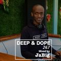 Summer House Music 2015 Club Mix by JaBig - DEEP & DOPE 267