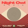 Night Owl Radio 403 ft. Giuseppe Ottaviani and atDusk