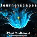 PGM 203: Plant Medicine 3