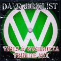Vibes & Wishdokta Tribute Mix