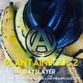 PlantainSoul 2 Dayslayer of The AMP Collective