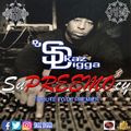 DJ Skaz Digga Producer Series - The SuPreemocy  (Tribute to DJ Premier)