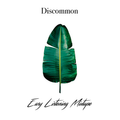 Discommon's Easy Listening Mixtape