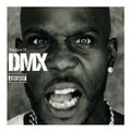Best of DMX Mix - Dj Shinski [Party up, We right here, Ruff Ryders Anthem, Where The Hood At]