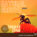 DJ Snurrethue - Natural Groove #001