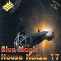 Blue Magic House Katze 17