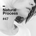 Natural Process #47