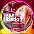 Liquid Libation - A Sunday Afternoon Relaxation | vol 85
