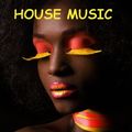 From Soulful House to Disco House `Ring My Bell remix Anita Ward - The Midnite Son 