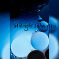 Midnight Silhouettes 7-30-23