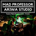 Mad Professor ft. Karmelody @Teatro Miela/Trieste 12/1/2019