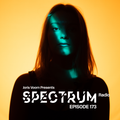 Joris Voorn Presents: Spectrum Radio 173