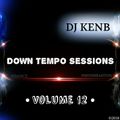 Down Tempo Sessions (Vol. 12) [Moombahton]