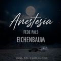 Fede Pals Anestesia Radio show 014 Guest Eichenbaum