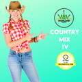 Hot & Wild  Country Mix #004