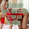 ▶▶ DJ Transcave - Beautiful Trance Voice Top 15 (2022) - 068 - October 2022 ◄◄
