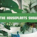Houseplants (05/12/2020)