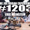#1203 - Eric Weinstein