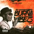 Just Dave - Burna Vibez Vol. 2 (Afro, Afrobeat Mix 2023 Ft Fireboy DML, Ed Sheeran, Sackie, Melick)