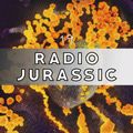 Radio Jurassic 019 - Julio Lugon Ft. Caterina Gobbi, Kasia Fudakowski and Jacob Eriksen [20-04-2020]