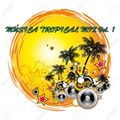 Música Tropical Mix Vol. 1