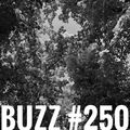 BUZZ #250