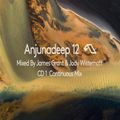 James Grant & Jody Wisternoff - Anjunadeep 12 CD1 (Continuous Mix) - 21-Jan-2021