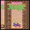 1994 - LTJ Bukem and MC Conrad - Kings Of The Jungle And The Jungle VIP's - Vol. 3