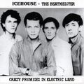Icehouse - Crazy Promises In Electric Land