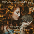 Dj OptimuS - The Breath of Immaculate Trance #152 [28.05.2022]