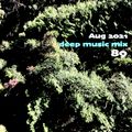 Aug 2021 deep music mix 89