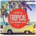 Tropical House -  Ông Bà Anh  ♥ - DJ Tùng Tee Mix