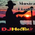 Llanera - DJ Héctor Jr.
