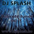 Dj Splash (Lynx Sharp) - Delicate tunes vol.9 2014