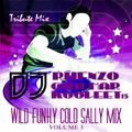 Wild Funky Cold Sally Mix Vol. 3